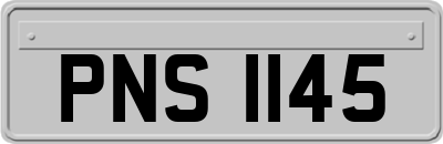 PNS1145