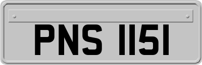 PNS1151