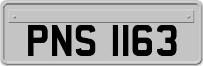 PNS1163