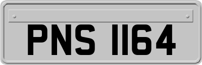 PNS1164