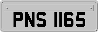 PNS1165
