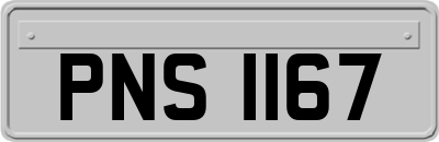 PNS1167