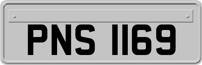 PNS1169