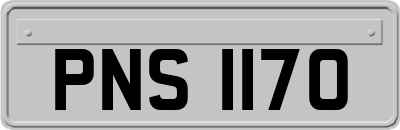 PNS1170