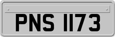 PNS1173