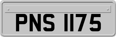 PNS1175