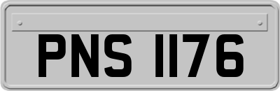 PNS1176