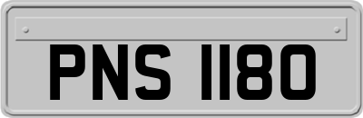 PNS1180