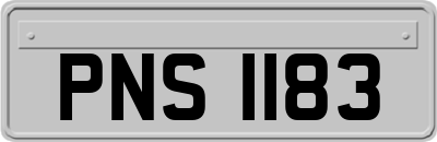 PNS1183