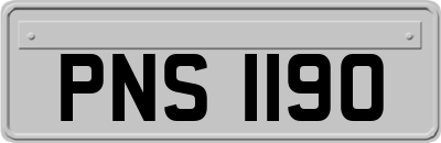 PNS1190