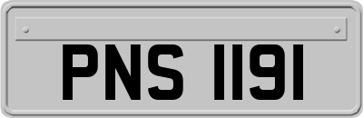 PNS1191