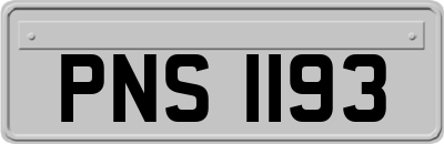 PNS1193
