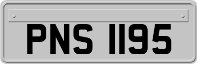 PNS1195