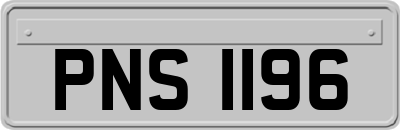 PNS1196