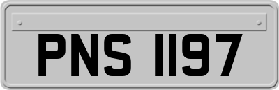 PNS1197
