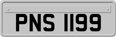 PNS1199