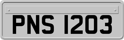PNS1203