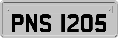PNS1205