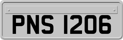 PNS1206