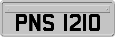 PNS1210