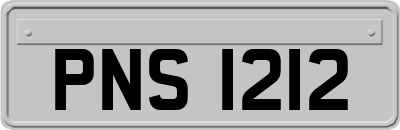 PNS1212