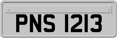 PNS1213