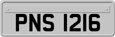PNS1216