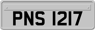 PNS1217
