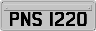 PNS1220