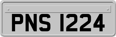 PNS1224