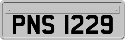 PNS1229