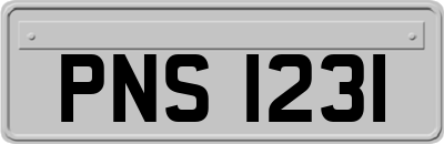 PNS1231