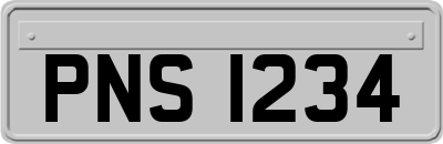 PNS1234