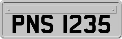 PNS1235