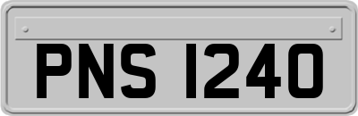 PNS1240