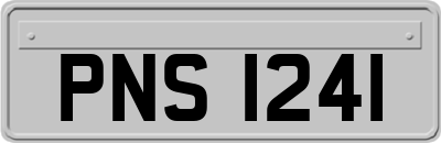PNS1241
