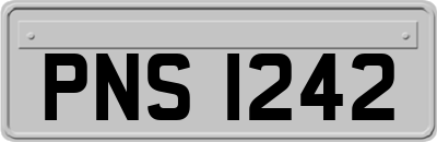 PNS1242