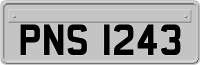 PNS1243