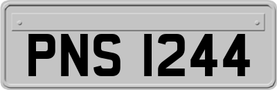 PNS1244