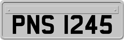 PNS1245