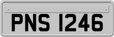 PNS1246