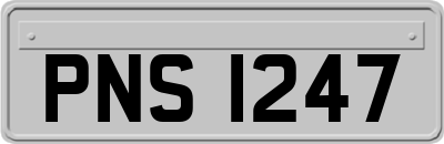 PNS1247
