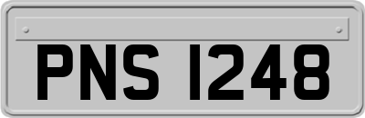 PNS1248