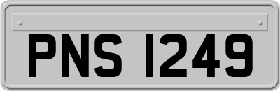 PNS1249