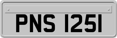 PNS1251