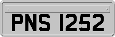 PNS1252