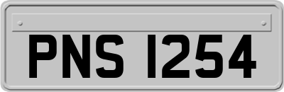 PNS1254