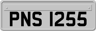 PNS1255