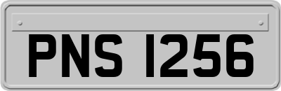 PNS1256