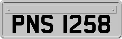 PNS1258